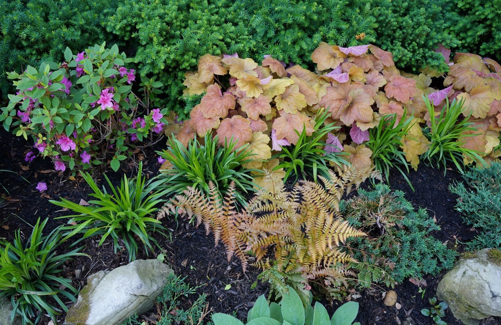 Elmhurst Library Garden